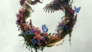 Link zum Video HUNGER GAMES - Sunrise on the Reaping